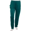 Big & Tall Champion® City Sport Pants -Workout Clothes Sales Store 5358475 Lakeside Green
